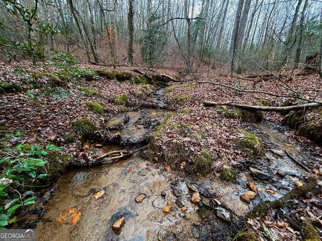 0 Grace Drive Blue Ridge GA 30513