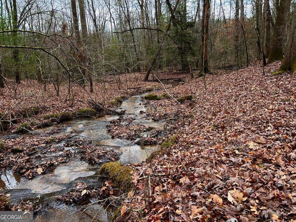 0 Grace Drive Blue Ridge GA 30513