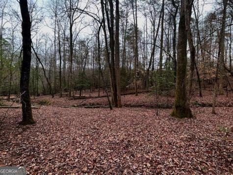 0 Grace Drive Blue Ridge GA 30513