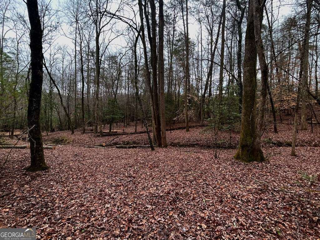 0 Grace Drive Blue Ridge GA 30513