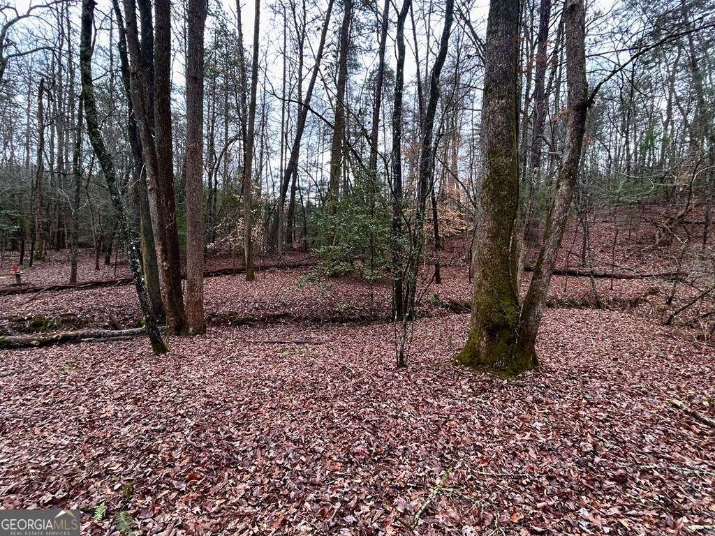 0 Grace Drive Blue Ridge GA 30513