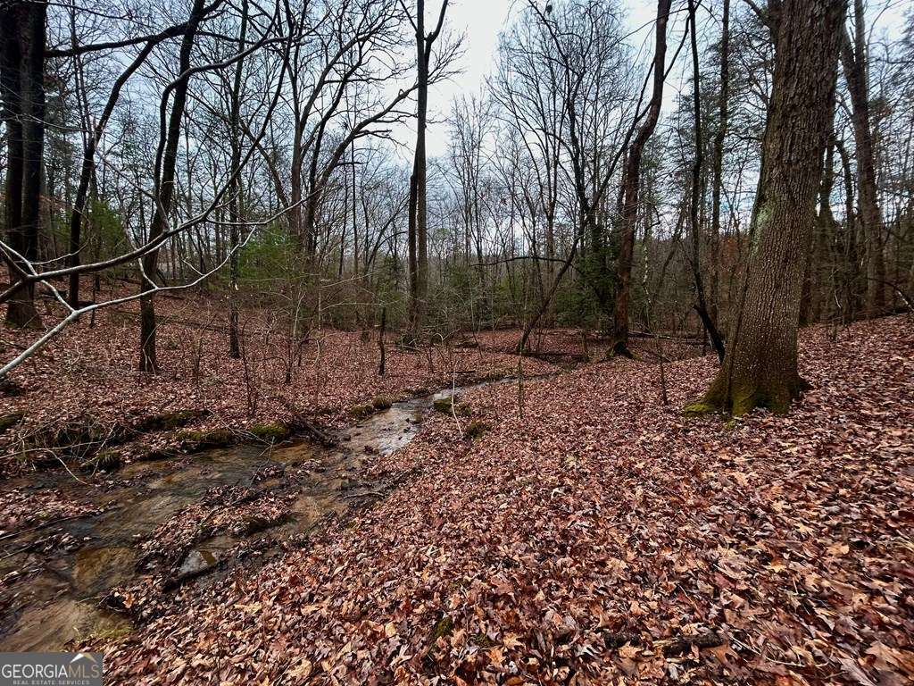 0 Grace Drive Blue Ridge GA 30513