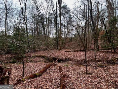 0 Grace Drive Blue Ridge GA 30513