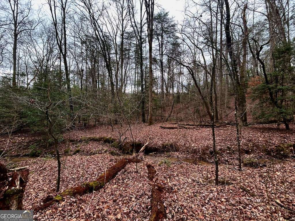 0 Grace Drive Blue Ridge GA 30513