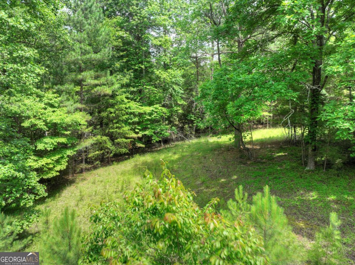 Lot 132 Fox Cove Road Blairsville GA 30512