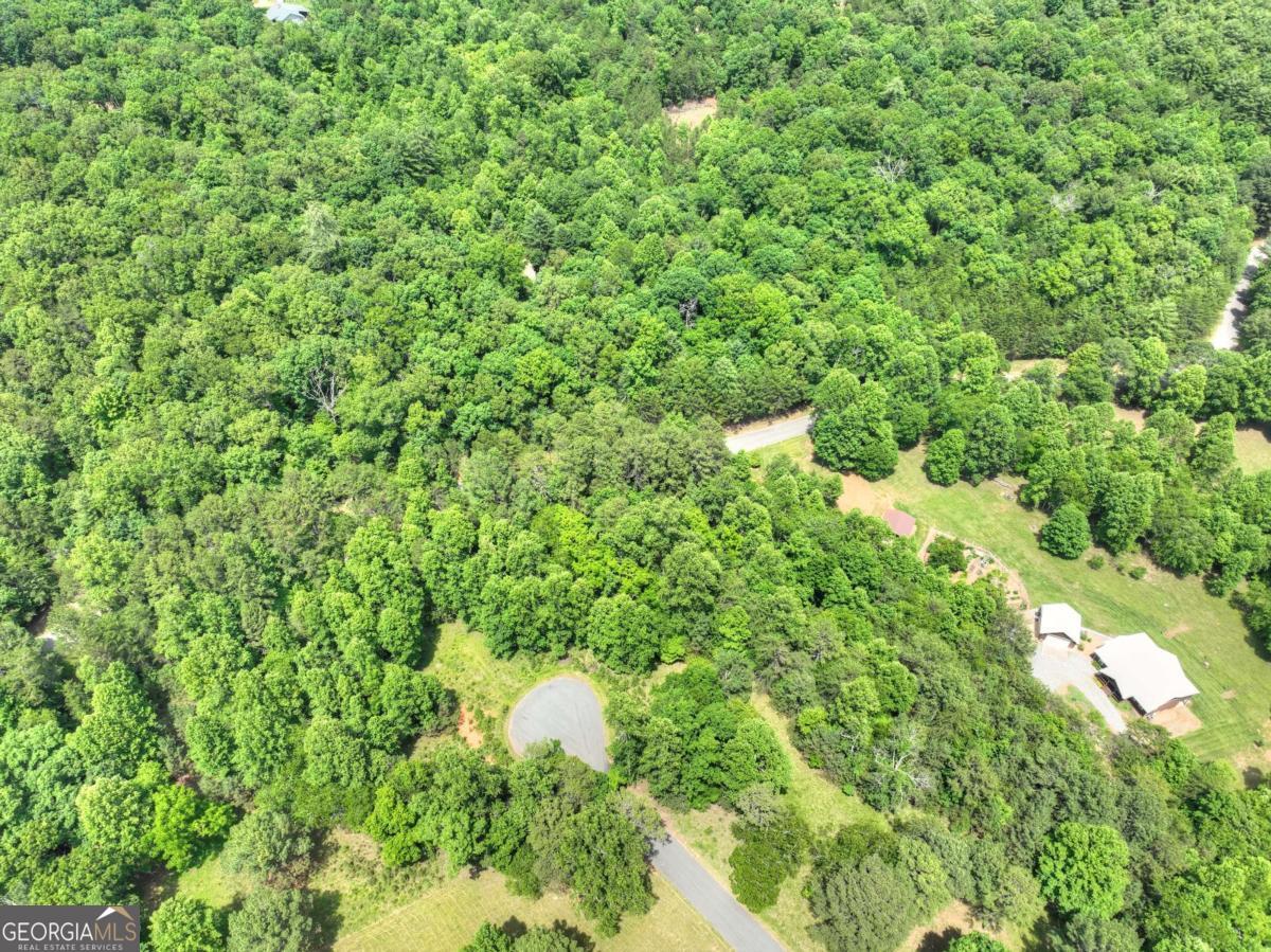 Lot 132 Fox Cove Road Blairsville GA 30512