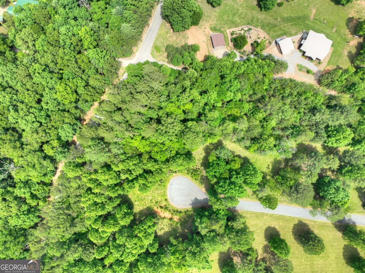 Lot 132 Fox Cove Road Blairsville GA 30512