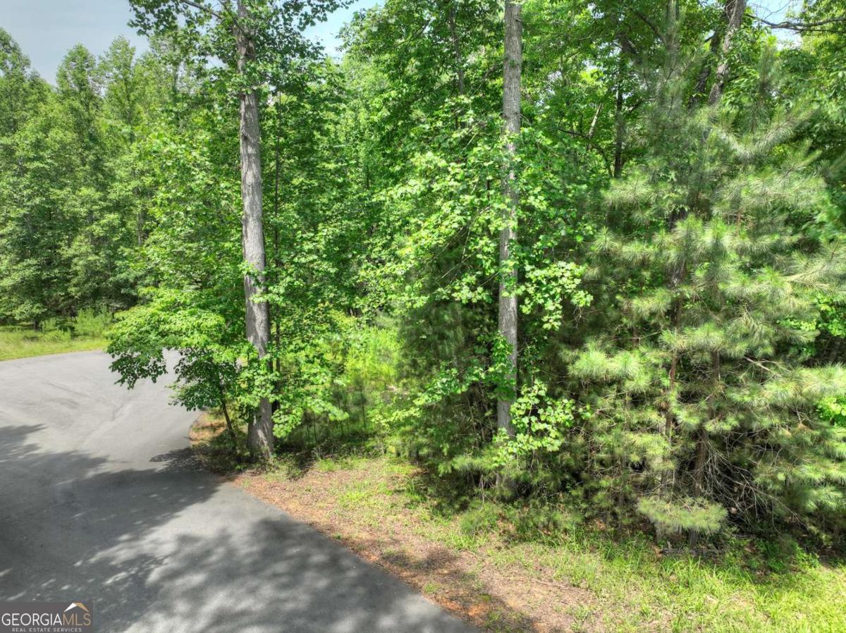 Lot 132 Fox Cove Road Blairsville GA 30512