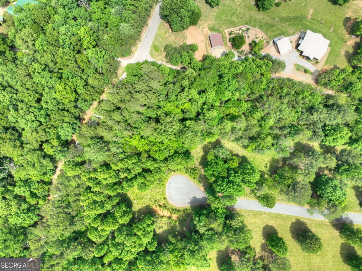 Lot 132 Fox Cove Road Blairsville GA 30512