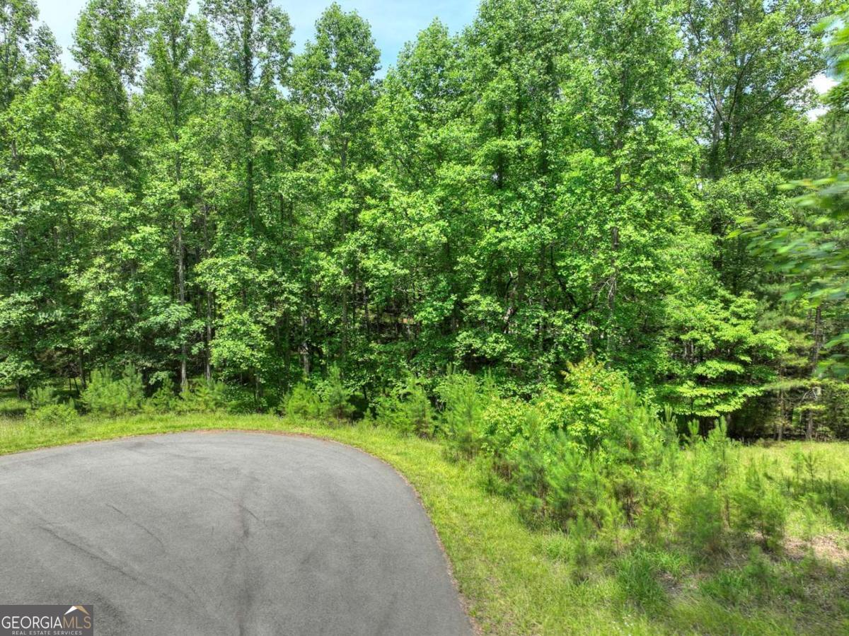Lot 132 Fox Cove Road Blairsville GA 30512