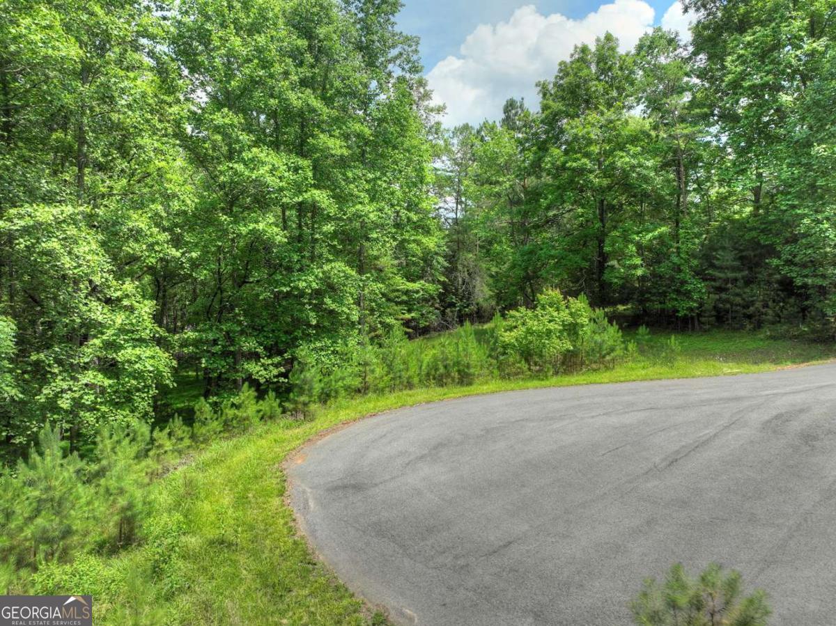 Lot 132 Fox Cove Road Blairsville GA 30512