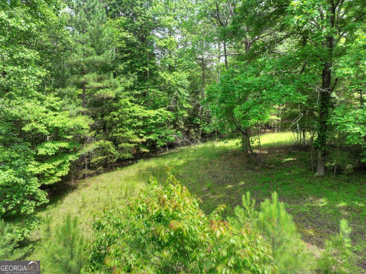 Lot 132 Fox Cove Road Blairsville GA 30512