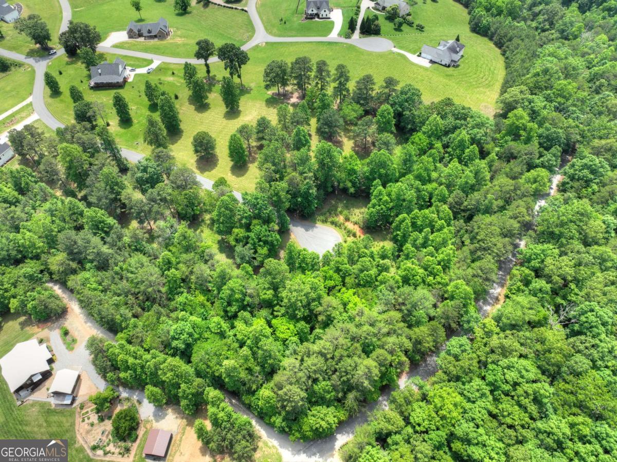 Lot 132 Fox Cove Road Blairsville GA 30512