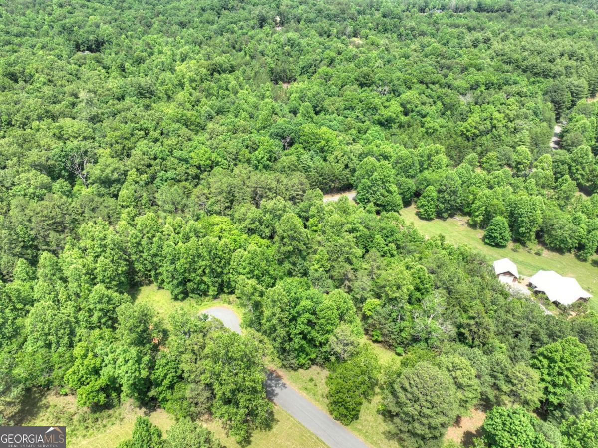 Lot 132 Fox Cove Road Blairsville GA 30512
