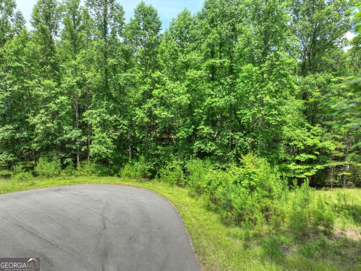 Lot 132 Fox Cove Road Blairsville GA 30512