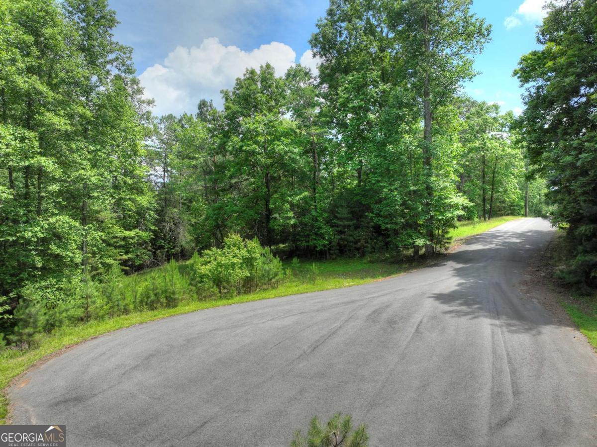Lot 132 Fox Cove Road Blairsville GA 30512
