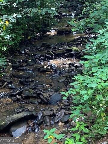 00 Seven Springs Jasper GA 30143