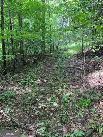 00 Seven Springs Jasper GA 30143