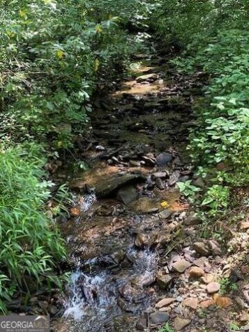 00 Seven Springs Jasper GA 30143