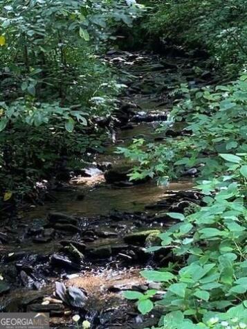 00 Seven Springs Jasper GA 30143