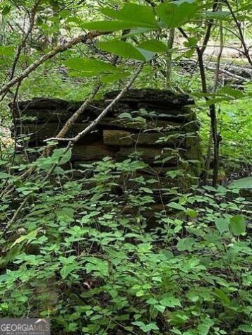 00 Seven Springs Jasper GA 30143