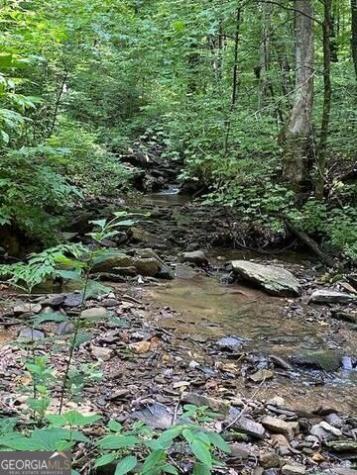 00 Seven Springs Jasper GA 30143