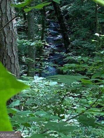 00 Seven Springs Jasper GA 30143