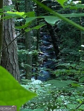00 Seven Springs Jasper GA 30143