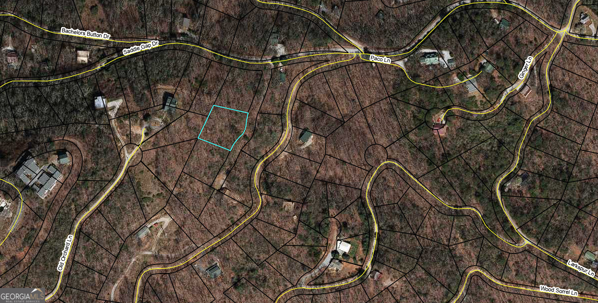 Lt 547 Saddle Gap Drive Clayton GA 30525