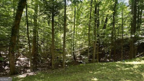 3641 Frederica Road Berkeley Lake GA 30096