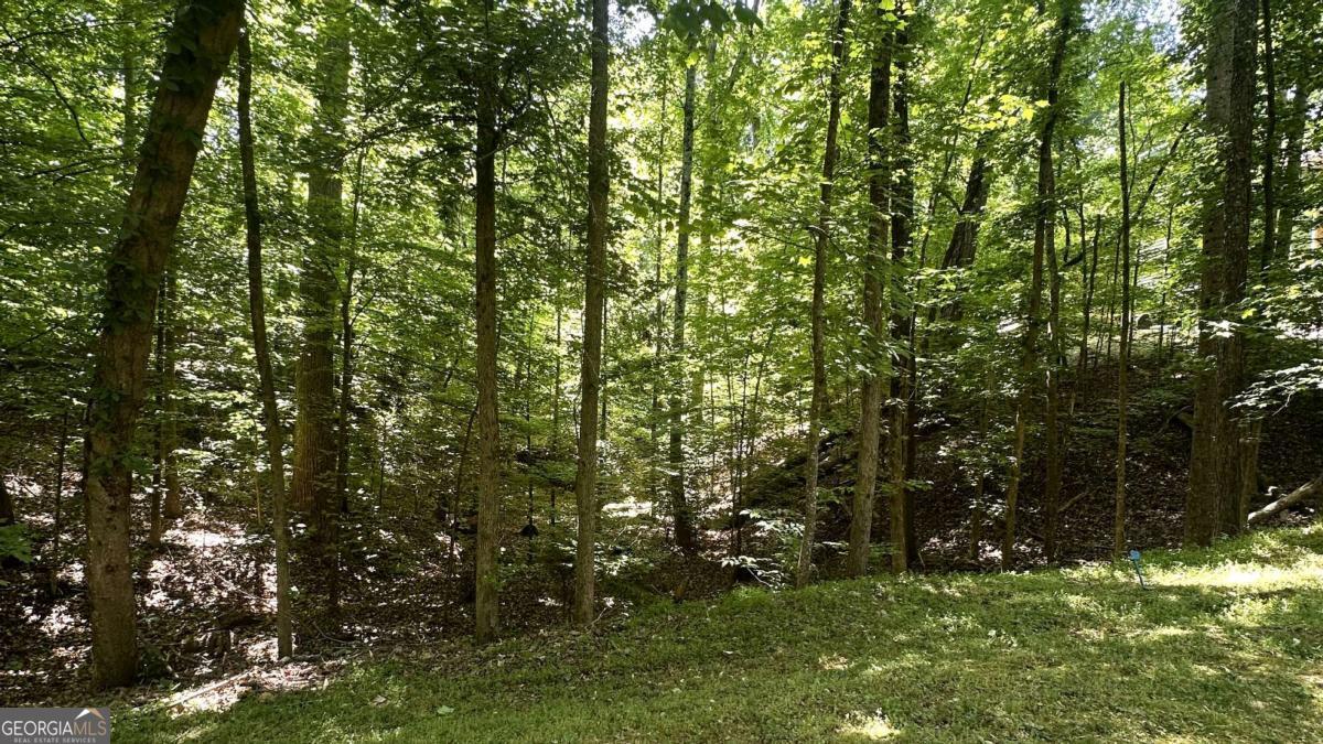 3641 Frederica Road Berkeley Lake GA 30096