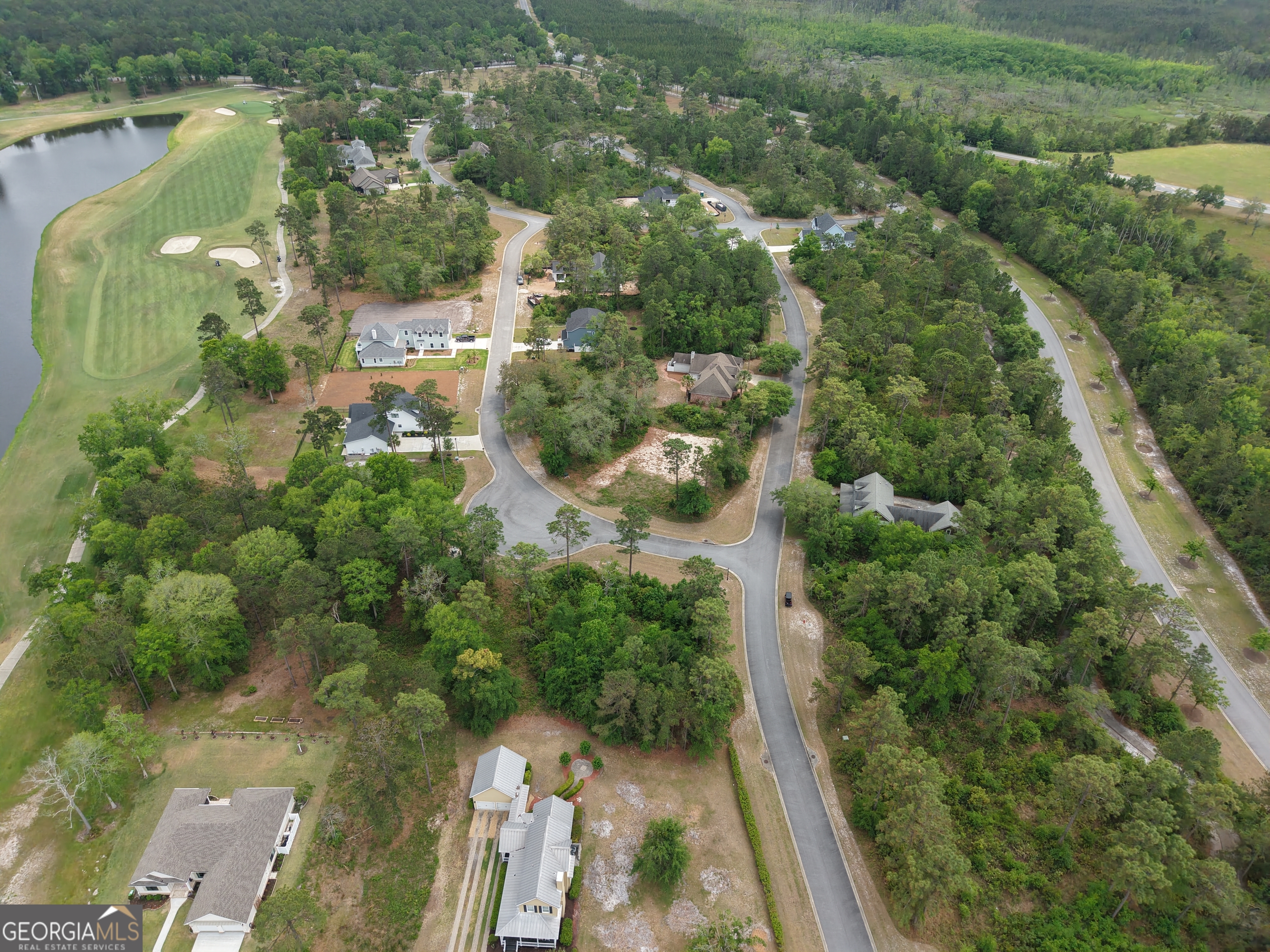 Lot 15 Blue Heron Trail Waverly GA 31565