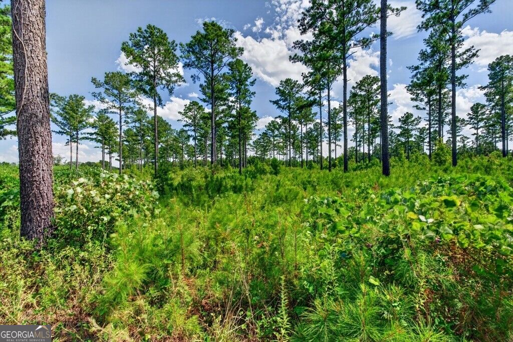 0 Highway 30 Buena Vista GA 31803