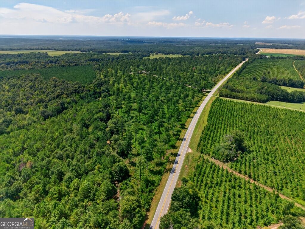 0 Highway 30 Buena Vista GA 31803
