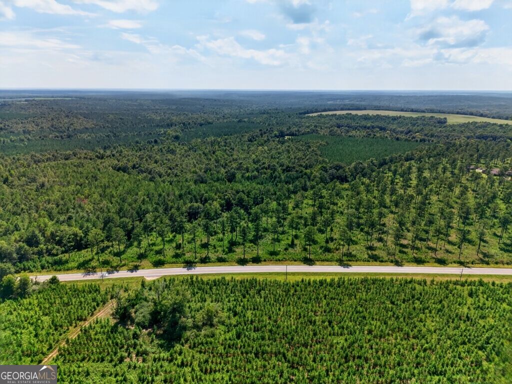 0 Highway 30 Buena Vista GA 31803