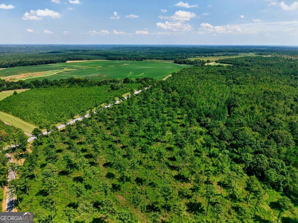 0 Highway 30 Buena Vista GA 31803