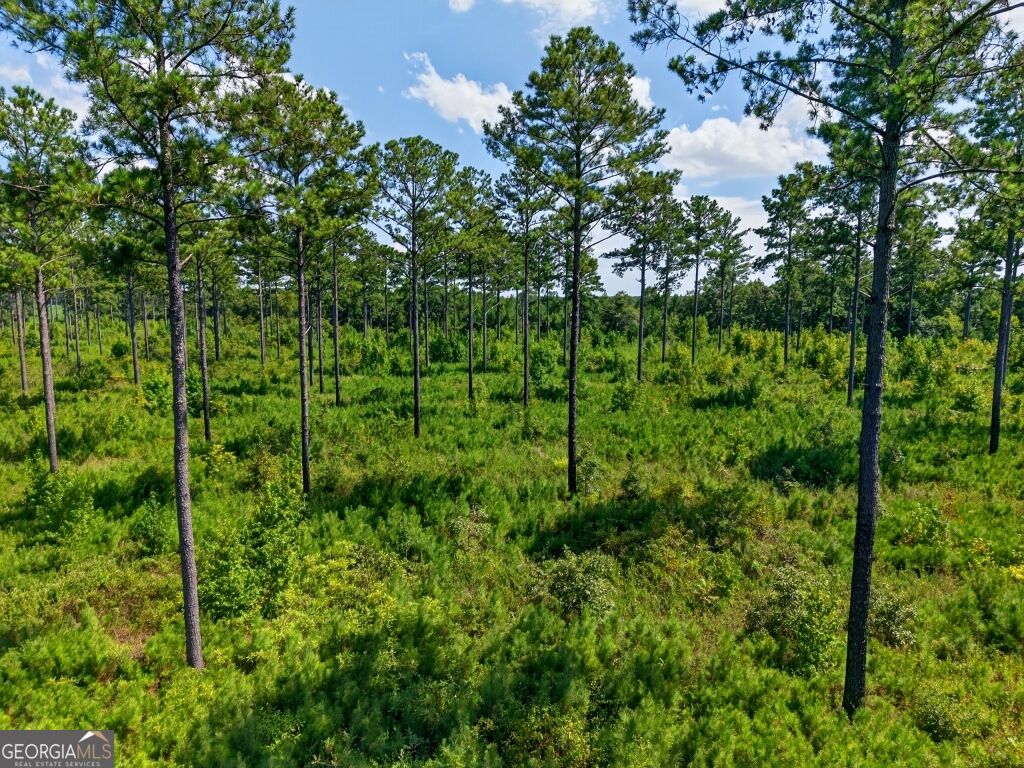 0 Highway 30 Buena Vista GA 31803
