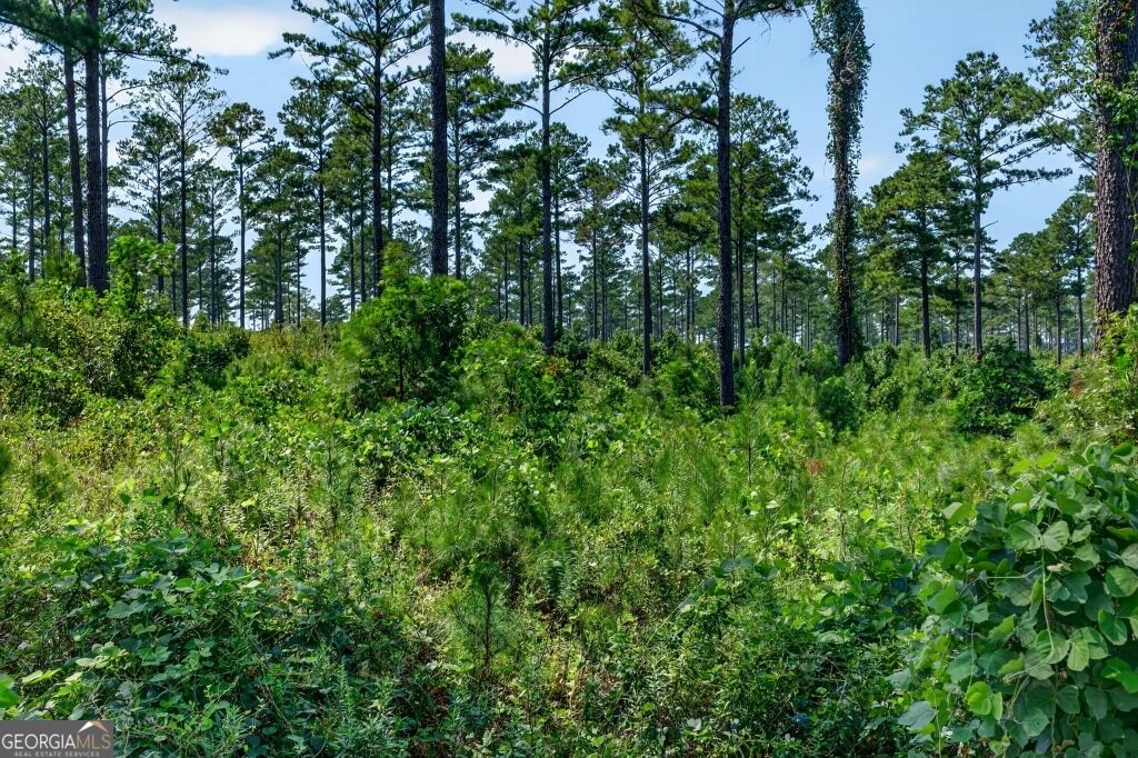 0 Highway 30 Buena Vista GA 31803