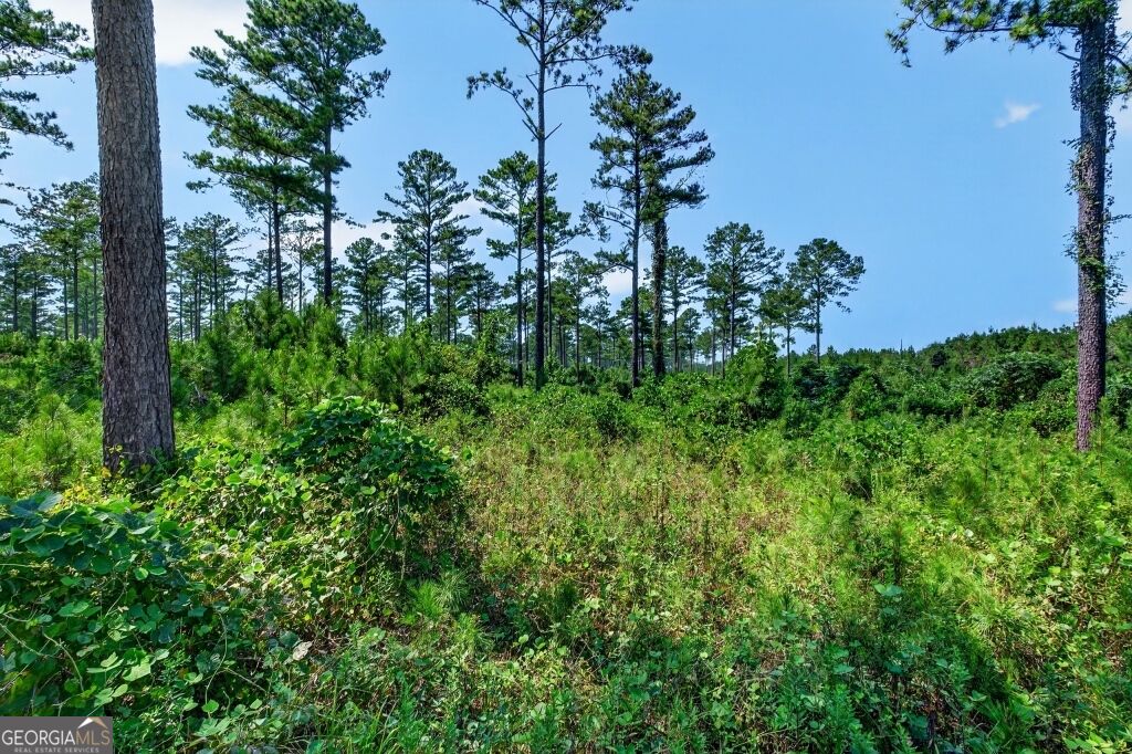 0 Highway 30 Buena Vista GA 31803