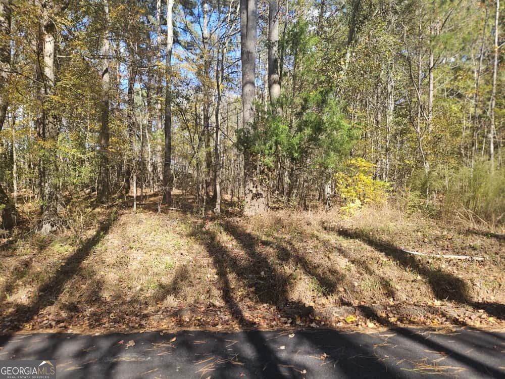 90 Moores Lane Oxford GA 30054