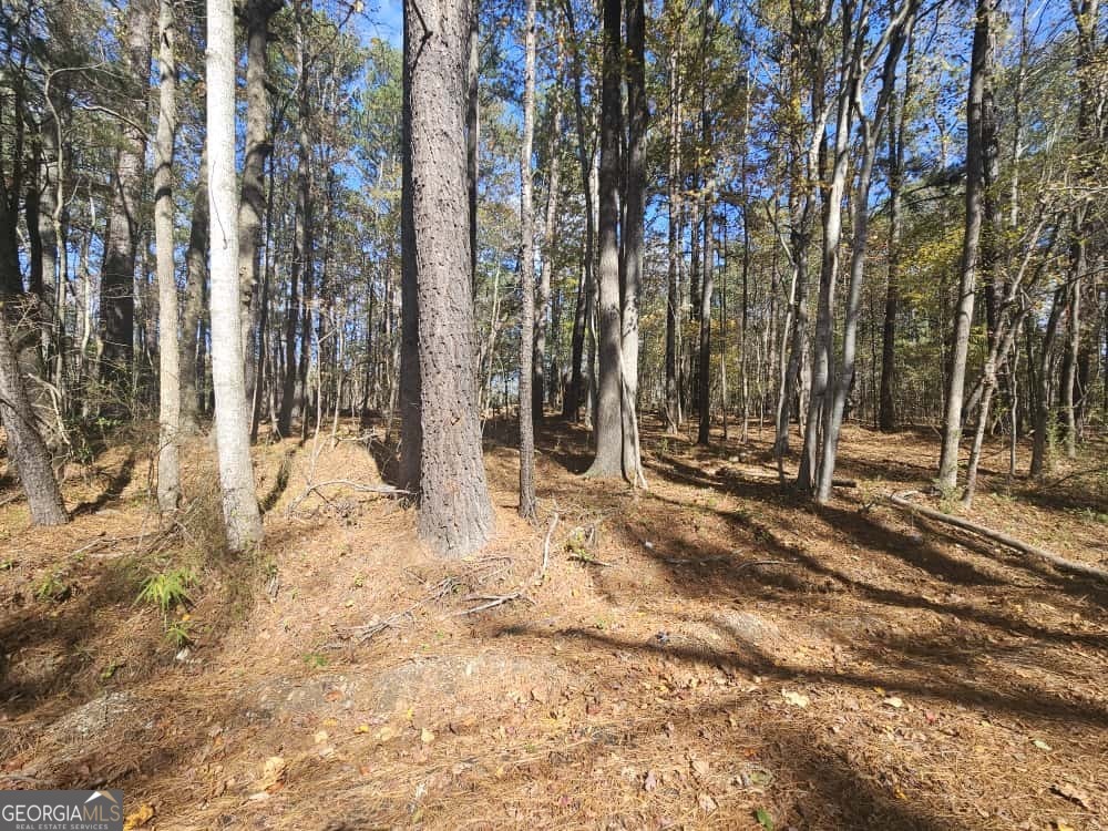 90 Moores Lane Oxford GA 30054