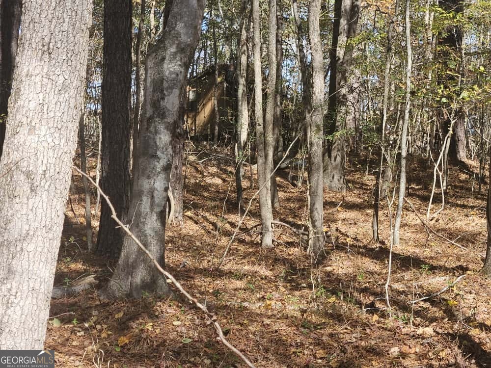 90 Moores Lane Oxford GA 30054