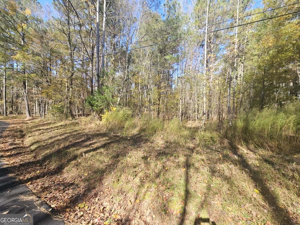 90 Moores Lane Oxford GA 30054