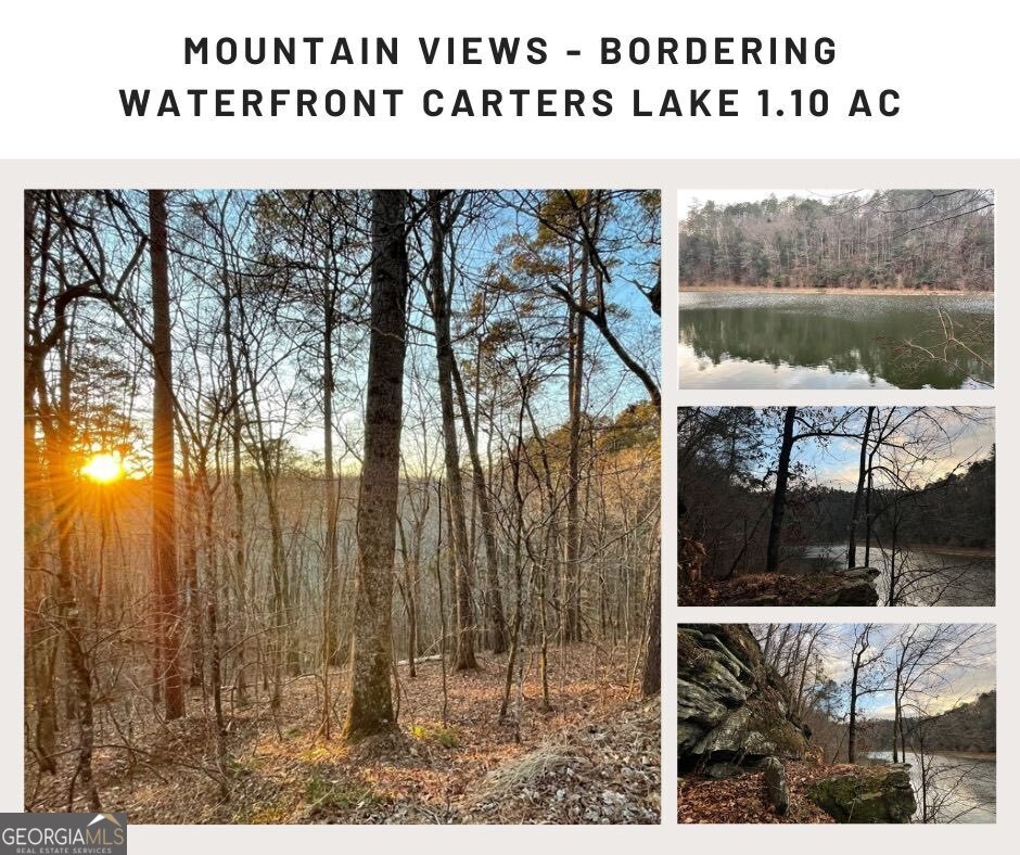 681,682 Julep Circle Ellijay GA 30540