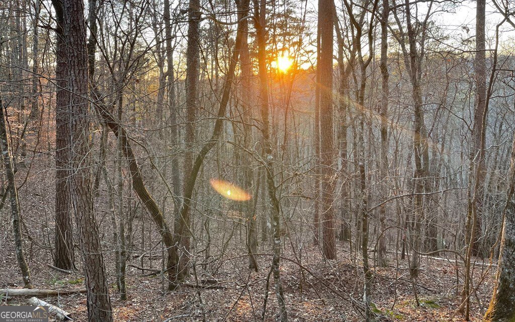 681,682 Julep Circle Ellijay GA 30540
