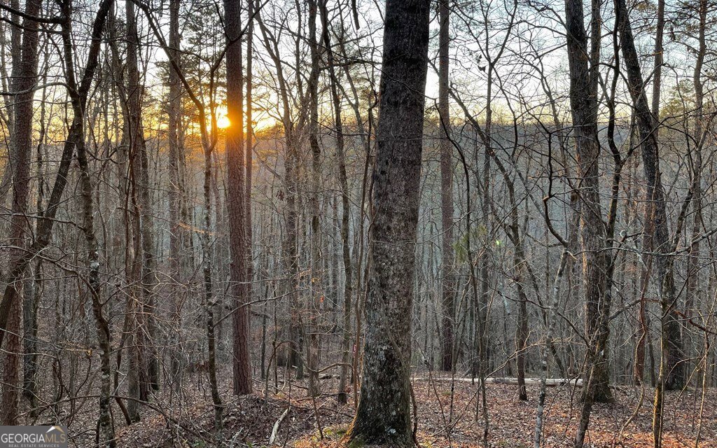 681,682 Julep Circle Ellijay GA 30540