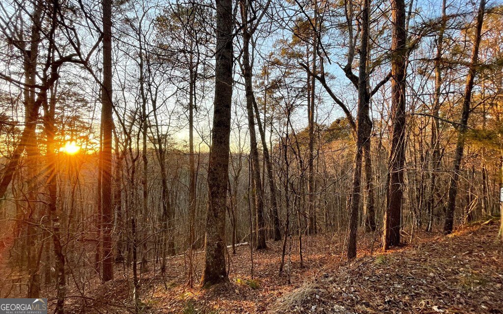 681,682 Julep Circle Ellijay GA 30540