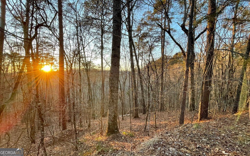 681,682 Julep Circle Ellijay GA 30540