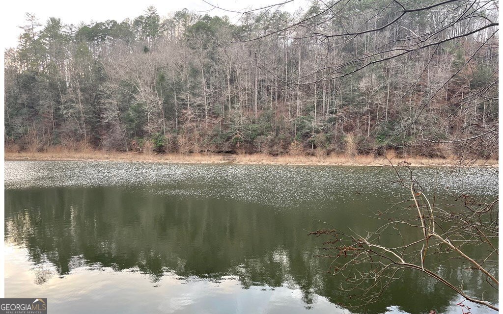 681,682 Julep Circle Ellijay GA 30540