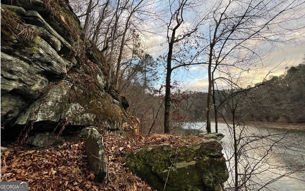 681,682 Julep Circle Ellijay GA 30540